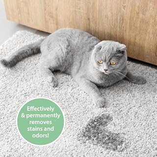 Spray enzimi urina gatto 750 ml – Pipi-Gone di ARKA – elimina odori e macchie di urina, feci e vomito – biologico e sicuro per gatti – per lettiera, tappeti, divano, tessuti – senza profumi chimici