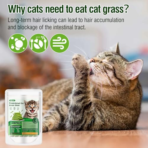 Hkpetie 30G Cat Grass Teething Stick, Delicious Cat Treat Snack Edible Cat Chew Toy For Teeth Cleaning And Hairball Removal In Cats thumb #5