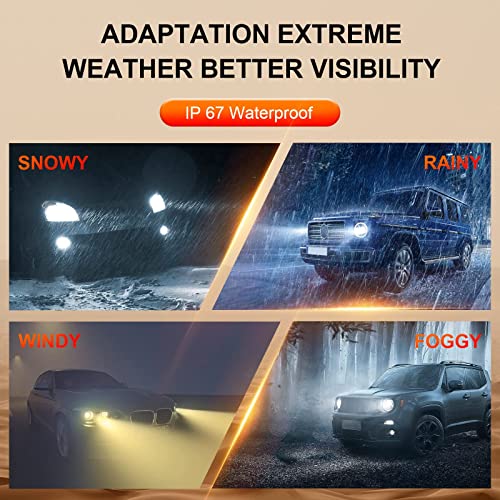 BUPOLSG H3 LED Fog Lights Bulb 6500K Xenon White,360% Extremely Brighter Fog Light Bulbs CSP Chips Bright,24W New Upgrade led Cars & Trucks Headlights Bulbs for DRL High/Low Beam [Pack of 2]