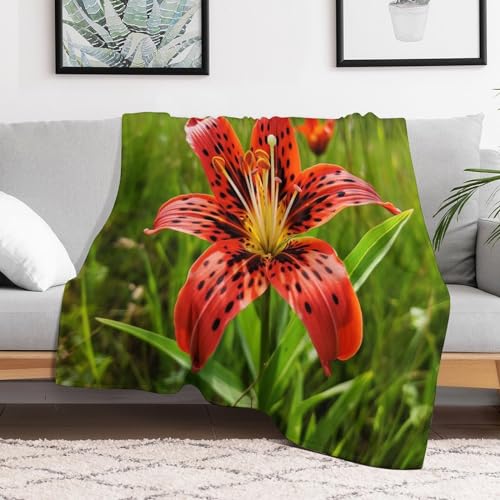 Couverture de lit fleur pour cocooning sur canapé plaid doux