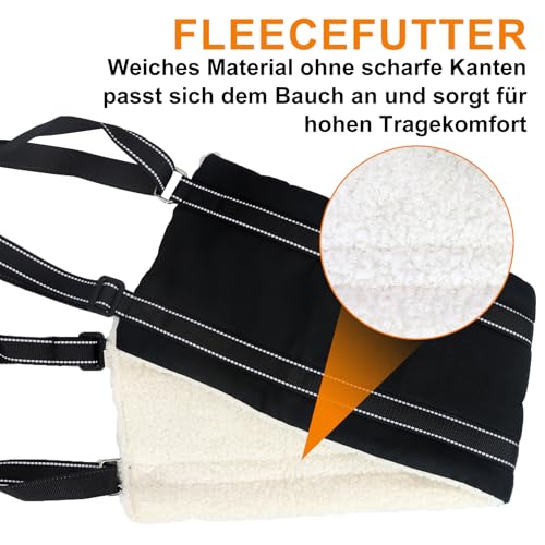Tragehilfe Hund Einstellbare Hunde Tragehilfe Groß Hund Hinten Lift Support Geschirr für Kleine, Mittlere und Große Hunde zu Unterstützen für behinderte, verletzte oder ältere (M)