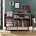 RARZOE Large Record Player Stand, Mid Century Concord Turntable Stand Table Holds Up to 350 Albums, Vinyl Record Storage Cabinet with Wood Legs for Living Room Office, Walnut Brown
