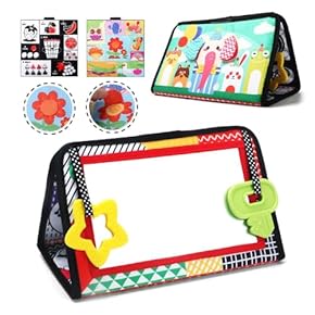 Amazon.co.jp: ミラー - ベビートイ: おもちゃ