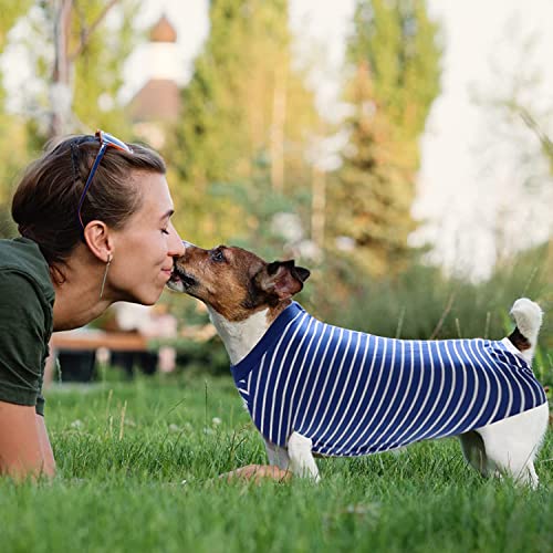 Erholungsanzug für Hunde,Chirurgische Genesungsanzug für Hunde Katzen nach der Operation,Kegel E-Halsband Alternative,Postoperative Bauchwunden Beschützer,Verhindern Lecken für Hündin Rüde Haustiere