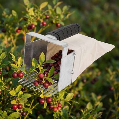 Herramienta SUPVOX para cosecha de arándanos y manzanilla miniatura 3