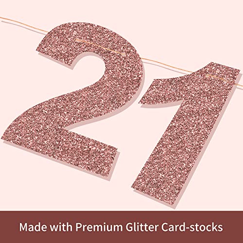 Image of Rose Gold 21st Birthday Decorations - Photo Backdrop Sign, Funny Banner, Party Supplies