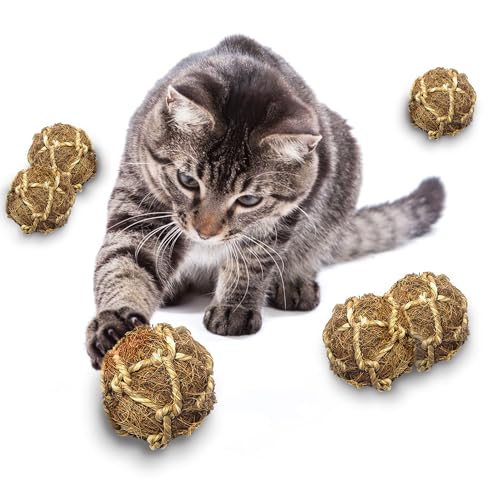 Image of SunGrow Assorted Rabbit & Cat Chew Balls, Teething Activity Toy for Pocket Pets, Improves Dental Health, Environment Friendly, Stress Reliever (Coco Fiber, 6 Pcs)