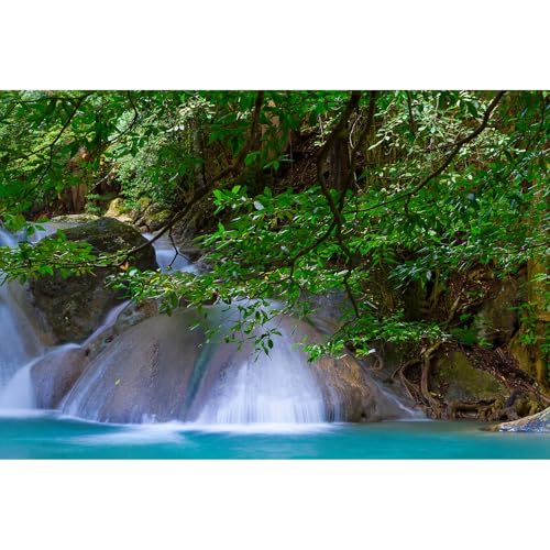   wi WO tHXg Xg[ 瑅 wi ̑   ঒ ^N̔wi Ȓ Xѕi ق̔wi ǎ 61.0 x 40.6 cm