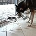 PetFusion Elevated Dog Bowls, Cat Bowls | Innovative Raised Pet Feeder with Embedded Magnets, Attach, Detach, Add On, Mix & Match | Short 4