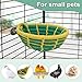 Hypeety Handmade Coton Rope Bird Breeding Nest Hatch House Bird Nest Cage for Small Parrots Budgie Parakeet Cockatiel Parakeet Conure Canary Finch Lovebird (Green)