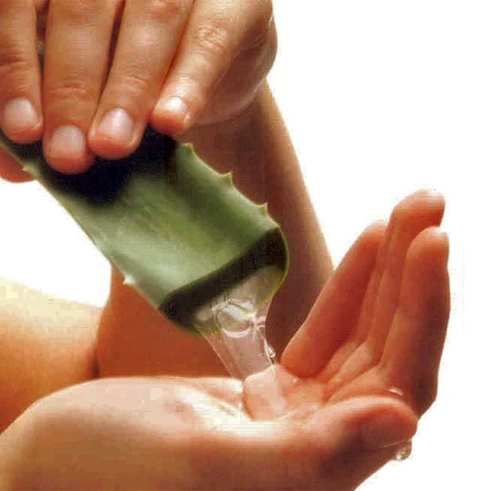 Granavida Zumo de Manzana con Aloe Vera – Sin Azúcares Añadidos. (Pack de 12 Unidades)
