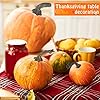 Maitys 24 Pcs Thanksgiving Fake Pumpkin Stems Plastic Pumpkin Stems for Crafts DIY Harvest Supplies Artificial Crafts for Halloween Thanksgiving Decoration #3