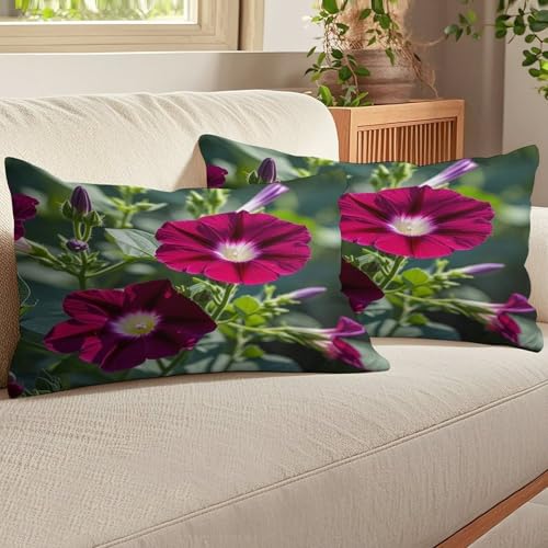 Funda de almohada rectangular suave para soporte de espalda 7