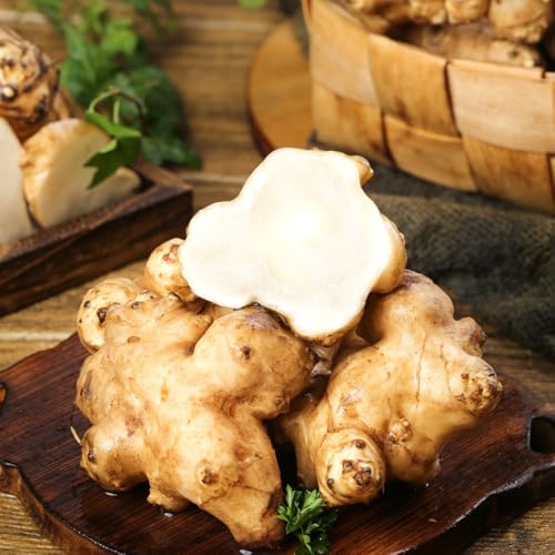 300 piezas Semillas de plantas de alcachofa de Jerusalén, semillas hortalizas decoración del balcón decoración vegetal semillas de helianthus tuberosus, Plantas De Cultivo De Hortalizas