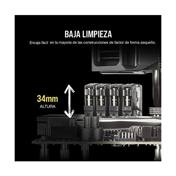 Corsair CMK16GX4M2D3600C18 Vengeance LPX 16 GB (2 x 8 GB) DDR4 3600 MHz C18 Módulo de Memoria de Alto Rendimiento, Negro - Image 3