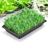 Plant Growing Trays Without Drain Holes, 14.5 * 9'', Durable Black Plastic Trays for Plants, Microgreens Growing Trays Seedling Plant Germination Starter Tray