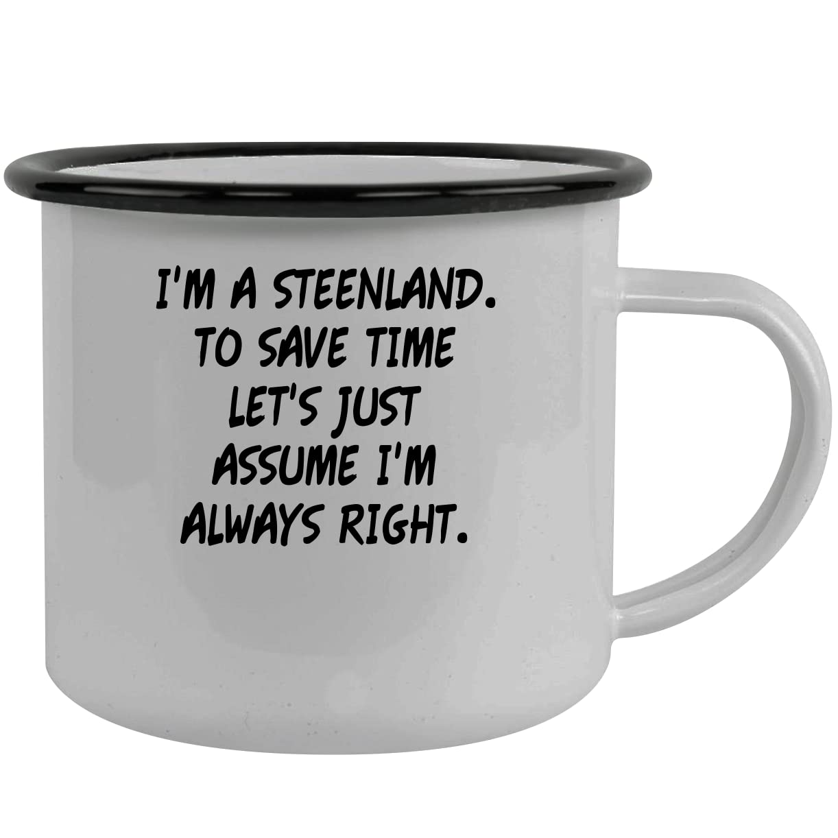 I'm A Steenland. To Save Time Let's Just Assume I'm Always Right. - Stainless Steel 12oz Camping Mug, Black