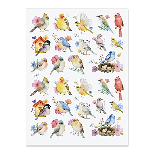CURRENT Watercolor Birds Stickers - Set of 52 Stickers