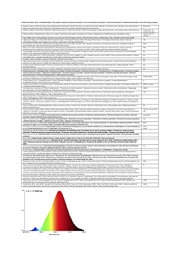 8x greenandco® Vintage gloeilamp vervangt 35W E27 G95 5W 400lm 2000K extra warm wit 360° 230V flikkervrij, niet-dimbaar - Afbeelding 7