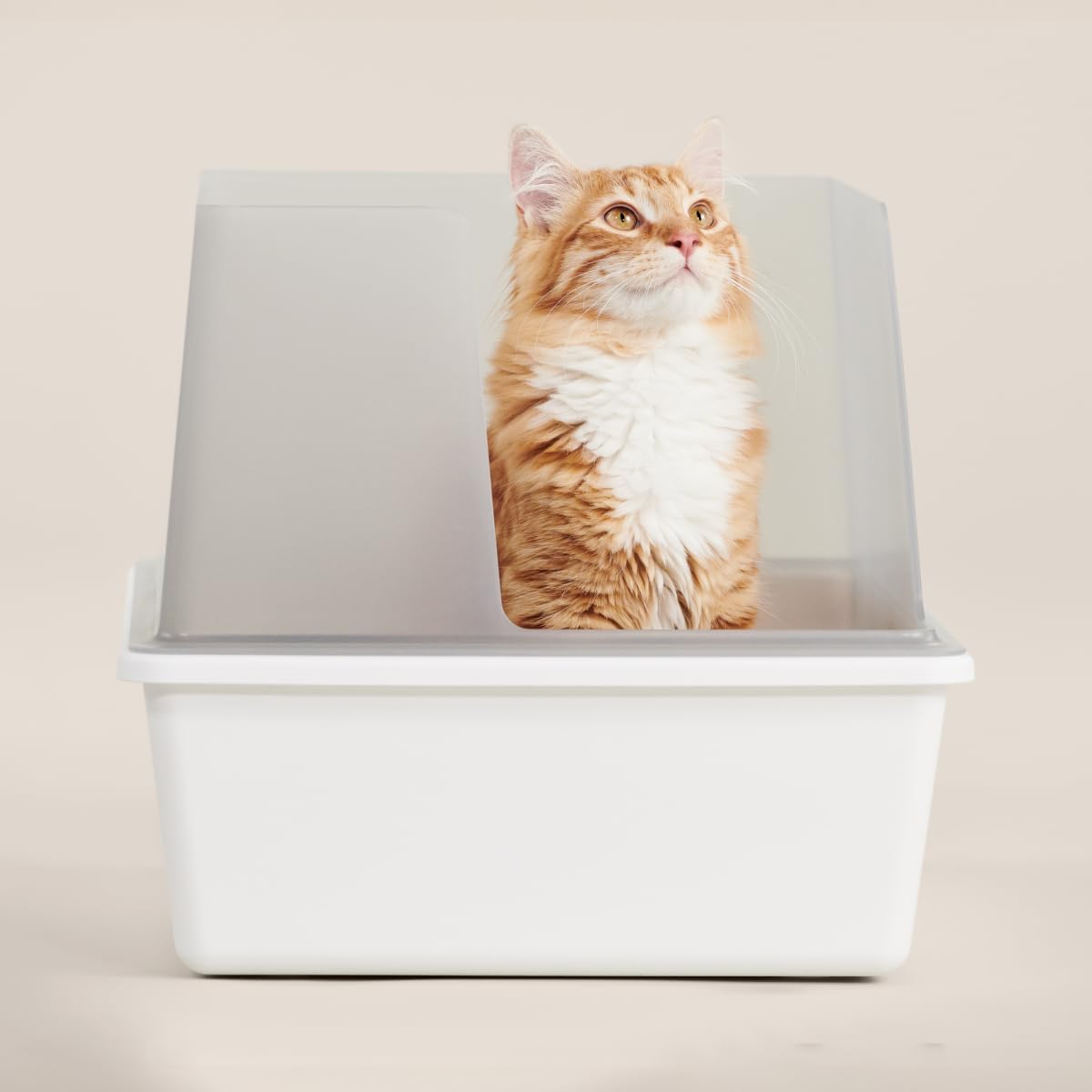 Tuft & Paw Cubby High Sided Cat Litter Box, Open Top, Anti-Stick Plastic, Low Tracking - White/Gray