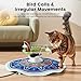 Gardner Pet Cat Toys Chargeable,5in1 Hide and Seek Automatic Interactive cat Toy, Chirping Moving Ambush Feather, Track Balls,Indoor Exercise Kicker 24 inch Cover for All Breeds,Boho Style - Blue