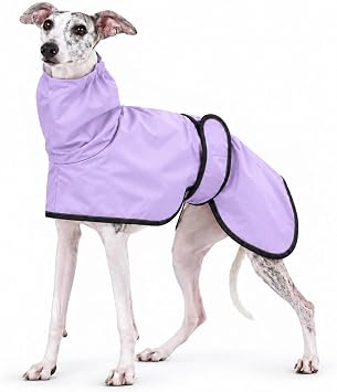 Greyhound Whippet Raincoat Waterproof with Reflective Stripe high Neck fit for Italian Greyhounds Whippets Long Back Breeds - Purple - L