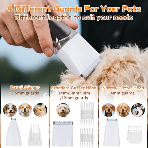 4 in 1 Hundeschermaschine Set Ninonly Leise Wiederaufladbar Schermaschine Hund Katze mit 4 Multifunktions Schneidköpfen für Körper, Pfoten, Augen, Ohren Pfotentrimmer für Hunde Gunmetal