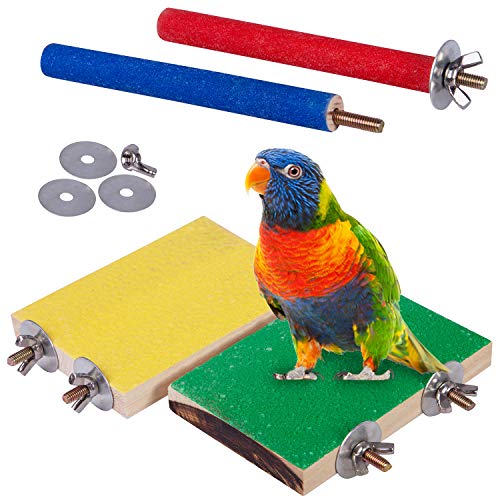 Best Parrot Perches