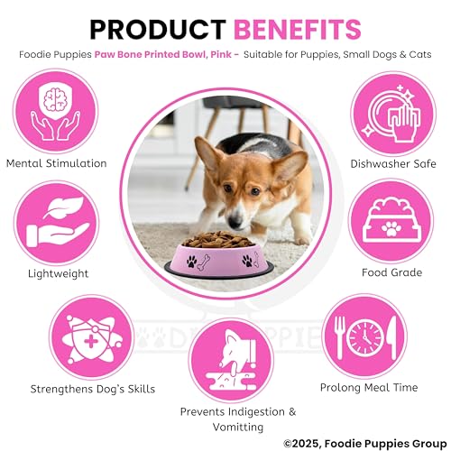 Image of Foodie Puppies Stainless Steel Pet Feeding Paw & Bone Print Bowl - 450ml (Baby Pink - Small) for Small Dogs & Puppies | Food /Water Feeding Anti-Slip /Skid Rubber Base Bowl | Non-Toxic & 100% Safe