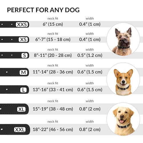 CollarDirect Rundes Leder Hundehalsband, weich gepolstert gerollt, handgefertigtes Echtleder Halsband für Hund Welpe Katze Klein Groß Schwarz Rosa Rot Lila Blau