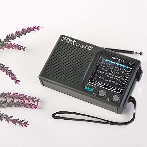 Tecsun R-909 Am/Fm/Sm/Mw (9 Bands) Multi Bands Radio Receiver Broadcast With Built-In Speaker #TOP1
