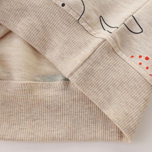 Boys Sweatshirts Long Sleeve Sweatshirts T-shirts Crew Neck Cotton Casual Sweatshirts Cartoon Tops for Boys-364