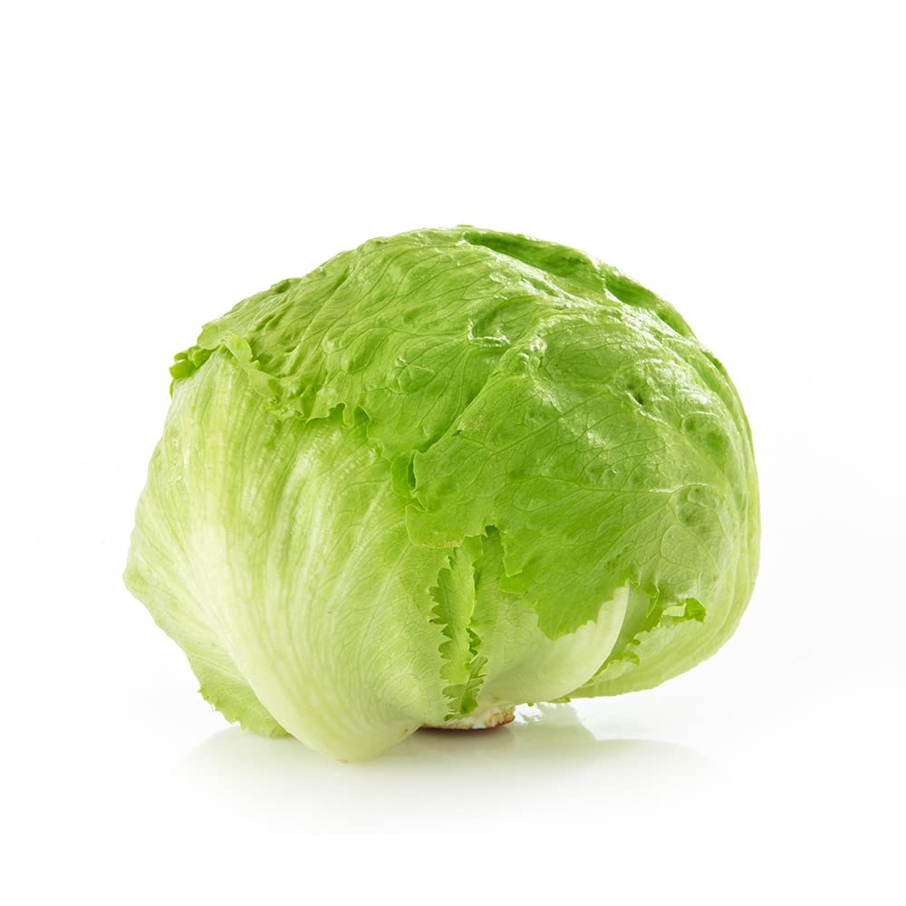 Buy Iceberg Lettuce, 1 Head Online Singapore Ubuy