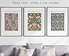 William Morris Set of 3 Unframed Prints, Art Nouveau Home Decor, Vintage Art, Botanical Flower Poster, Digital Art, Cray Strawberry Thief Snakeshead (A3) #4