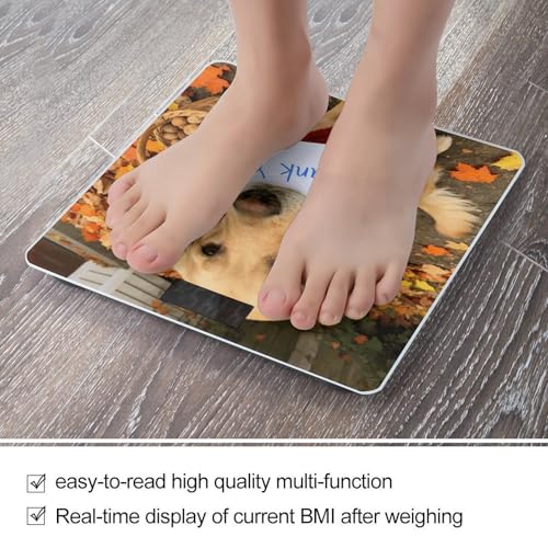 Balanza digital de baño con vidrio templado y pantalla LCD miniatura 5