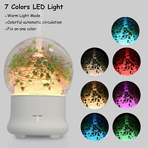 Difusor aromático eléctrico con flores preservadas y luz nocturna miniatura 3