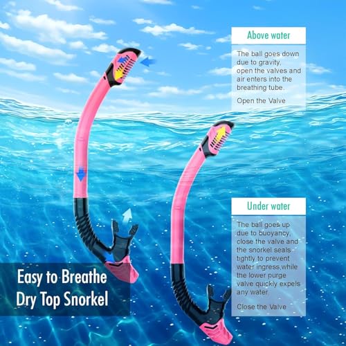 Snorkeling Gear for Adults, JRing Snorkel Mask Set with 180 Degree Tempered Glass Anti Fog Goggles Scuba Dry Top Snorkel for Swimming, Scuba Diving Mask for Men Women(Pink)