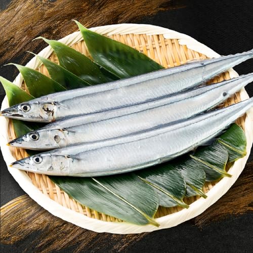 [北海道根室市] [年内配送品(12/21決済分まで)] 北海道根室市産 生さんま5尾×2P G-30001[配送月(年明け含む)の指定は不可]