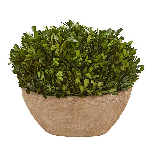 Nearly Natural 12in. Boxwood Preserved Plant in Oval Planter