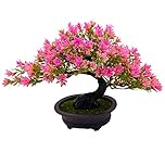 Fycooler Artificial Plants Bonsai Tree in Pots - Decorative Artificial Trees Realistic Artificial Japanese Pine Bonsai Juniper Fake Mini Plastic Plants for Home Office/Desktop Display,Zen Garden Décor