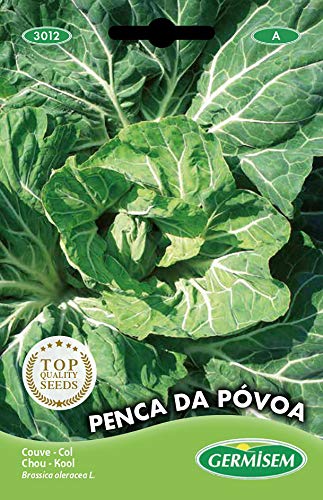 Germisem Penca de Póvoa Semillas de Col 5 g (EC3012)
