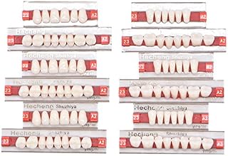 RZJZGZ 84 Pcs Dental Synthetic Resin Tooth Denture 3 Sets False Teeth