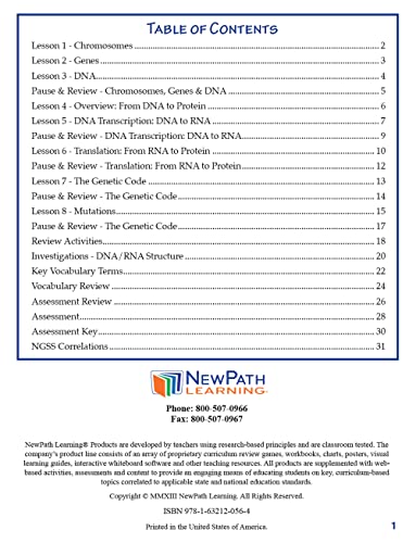 Image of NewPath Learning 14-6777 Chromosomes, Genes and DNA Learning Guide (Pack of 10)