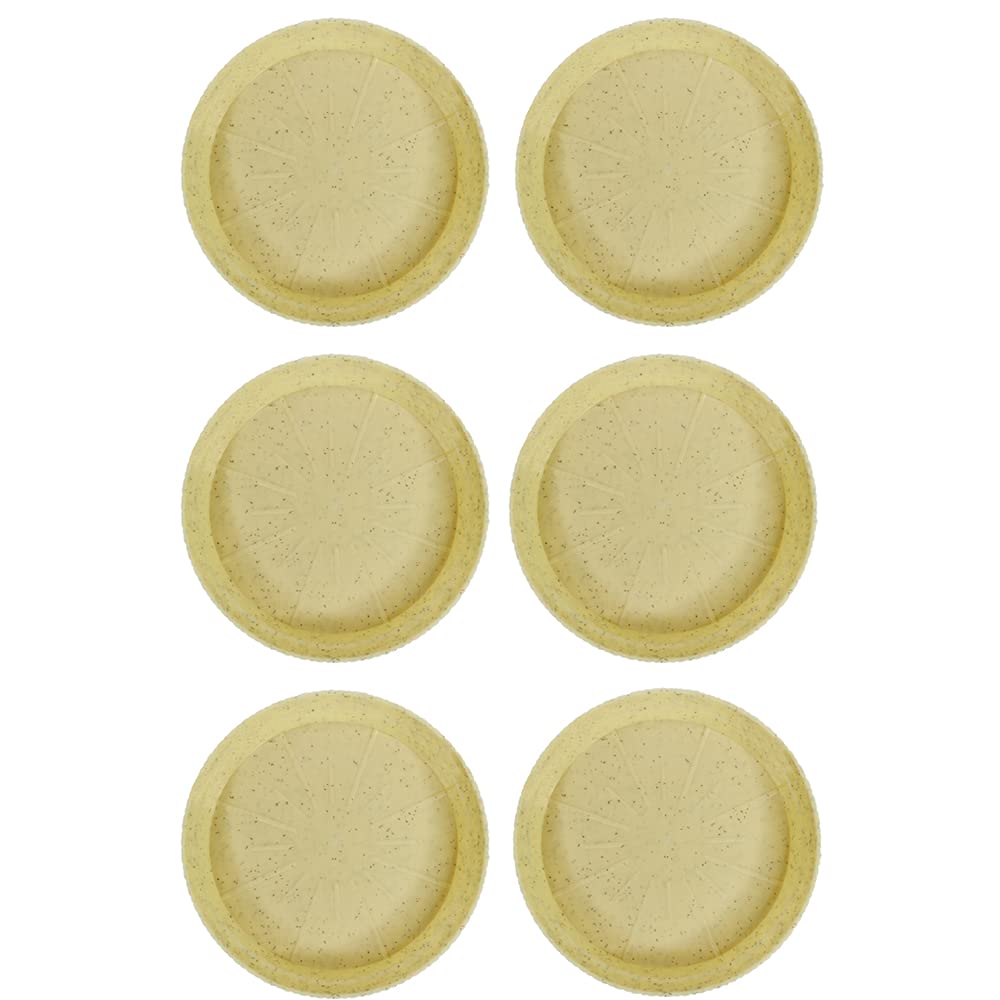 Wonderland (Pack of 6, 8 inch) Plant Saucer,Durable Plant Tray Flower Pot Saucer Round Pallets for Indoors and Outdoor, Plant Container Accessories (M Beige) (B08RP23839) Amazon Price History, Amazon Price Tracker