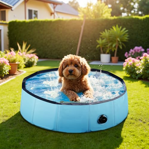 Fudajo Hundepool 80 x 30 cm rutschfestes Hundeplanschbecken, Hundeschwimmbad faltbar aus PVC, Hundebadewanne mit verstärkten Kanten, tragbarer Pool für Hunde