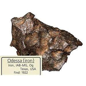オデッサ隕石標本 (隕鉄)　Odessa