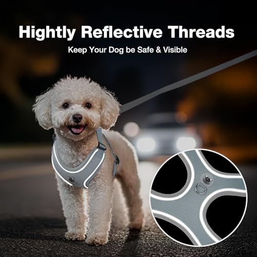 Feycig Hundegeschirr Kleine Hunde, Anti Zug Einstellbar Reflektierend Geschirr, Atmungsaktiv Weiches aus Mesh Geschirr Hund Leichtes Welpengeschirr Brustgeschirr mit Griff (Grau, X-Small)