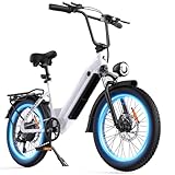 Flydone Electric Bike for Adults,1000W Peak Motor Ebike,Max 28MPH 75-105Miles PAS Range Electric Bicycle,48V 13AH/18AH Integrated Battery Commuting 20' Step Thru Fat Tire Ebikes for Adults