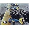 US Army Air Forces Cadets of WWII PT-17 Stearman PT-19 P-40 B-17 old films