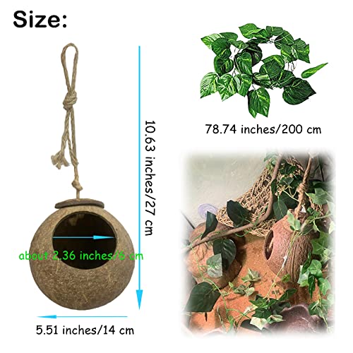 Image of Crested Gecko Coconut Hide Natural Lizard Coco Hut Reptile Hanging Nest Flexible Vine Habitat Decoration Bearded Dragon Terrarium Accessories for Chameleon Tree Frog Snake Hermit Crab